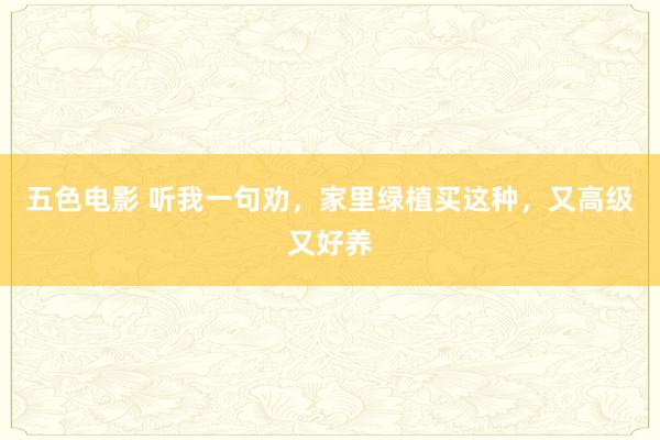 五色电影 听我一句劝，家里绿植买这种，又高级又好养