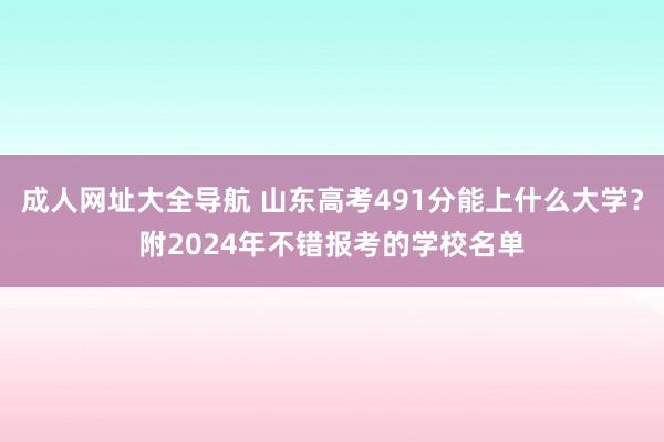 成人网址大全导航 山东高考491分能上什么大学？附2024年不错报考的学校名单