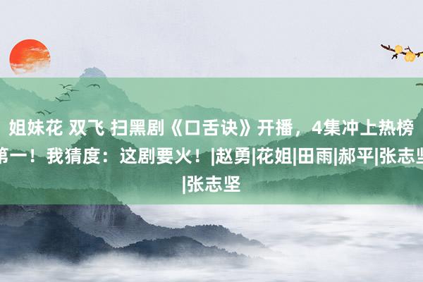 姐妹花 双飞 扫黑剧《口舌诀》开播，4集冲上热榜第一！我猜度：这剧要火！|赵勇|花姐|田雨|郝平|张
