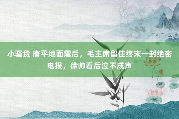 小骚货 唐平地面震后，毛主席留住终末一封绝密电报，徐帅看后泣不成声