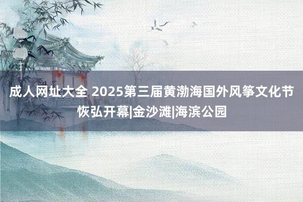 成人网址大全 2025第三届黄渤海国外风筝文化节恢弘开幕|金沙滩|海滨公园
