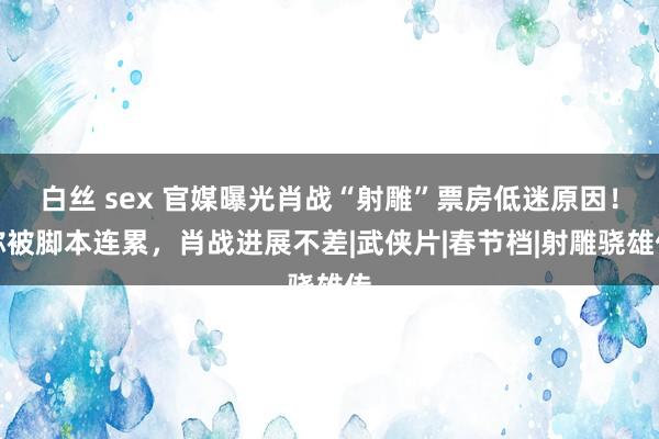 白丝 sex 官媒曝光肖战“射雕”票房低迷原因！称被脚本连累，肖战进展不差|武侠片|春节档|射雕骁雄