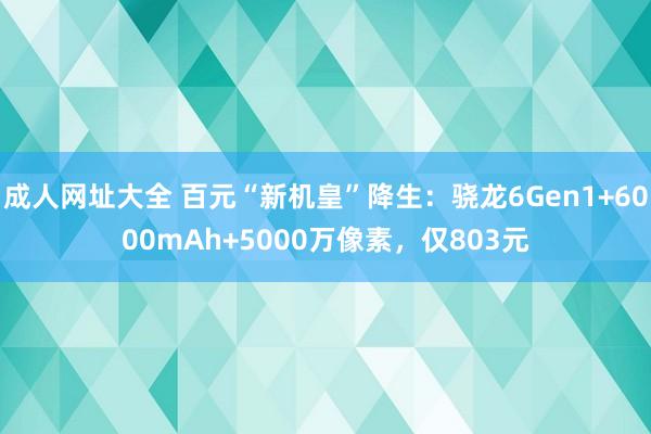 成人网址大全 百元“新机皇”降生：骁龙6Gen1+6000mAh+5000万像素，仅803元