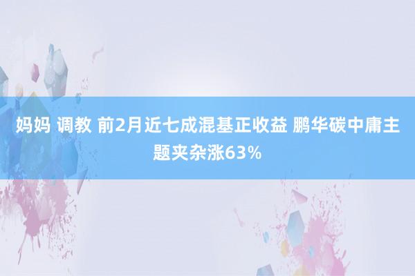 妈妈 调教 前2月近七成混基正收益 鹏华碳中庸主题夹杂涨63%