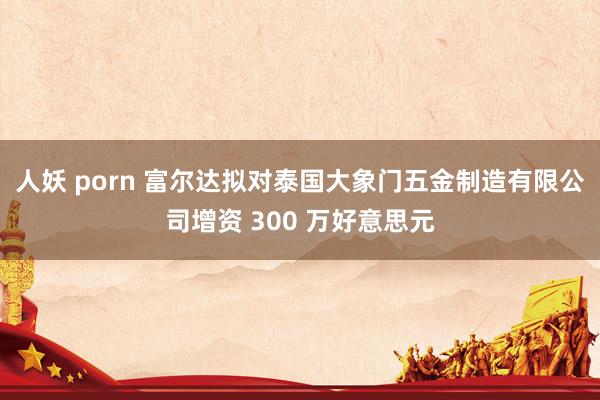 人妖 porn 富尔达拟对泰国大象门五金制造有限公司增资 300 万好意思元