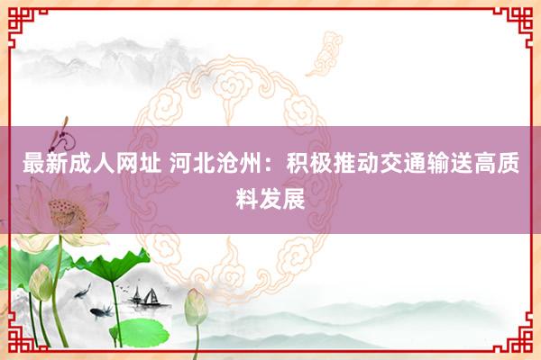 最新成人网址 河北沧州:积极推动交通输送高质料发展